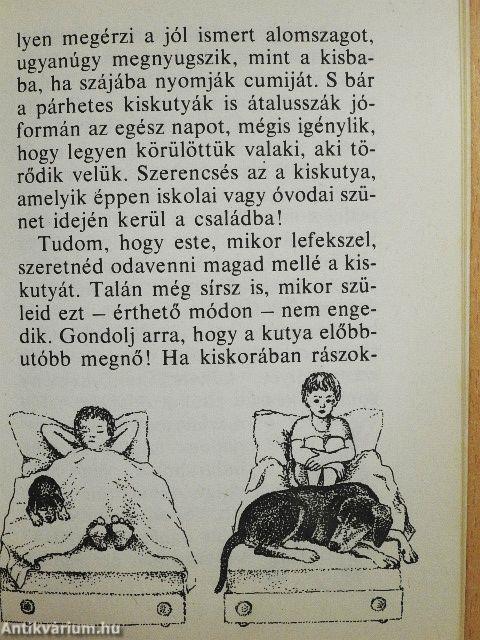 Szeretnék egy kiskutyát