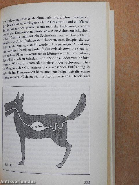 Eine kurze Geschichte der Zeit