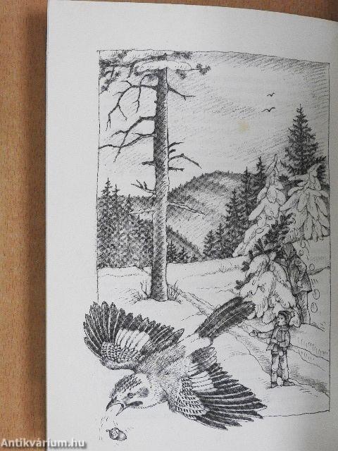 Weihnachtsgeschichten zum Vorlesen