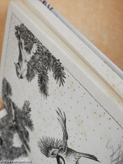 Weihnachtsgeschichten zum Vorlesen