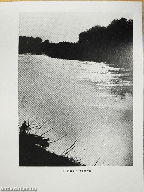 Csongrád és vidéke