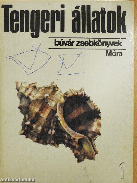 Tengeri állatok 1.