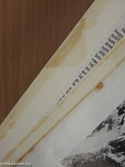 Természet Világa 1981. (nem teljes évfolyam)