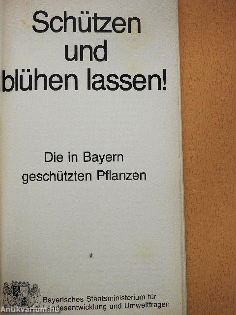 Schützen und blühen lassen!