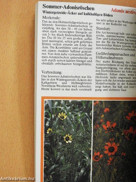 Vom Aussterben bedroht!