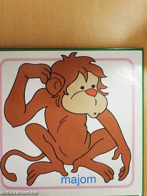 Ismerd meg Cincogival az állatokat