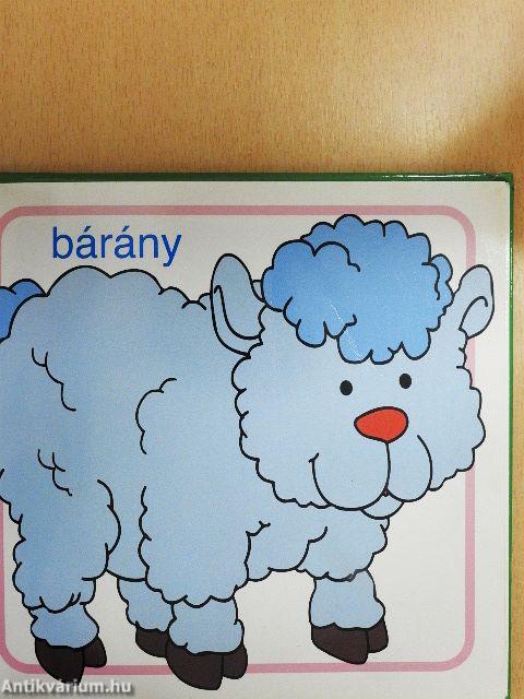 Ismerd meg Cincogival az állatokat