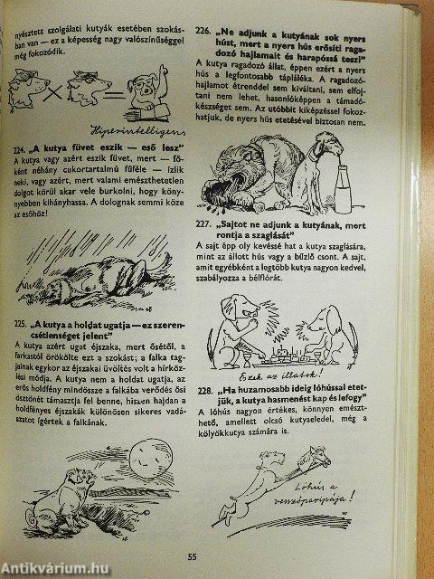 400 tanács kutyakedvelőknek