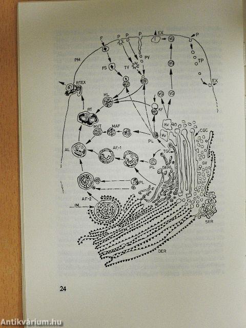 A biológia aktuális problémái 20.