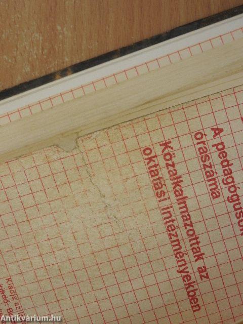 Iskolaszolga 1992. szeptember-1993. június