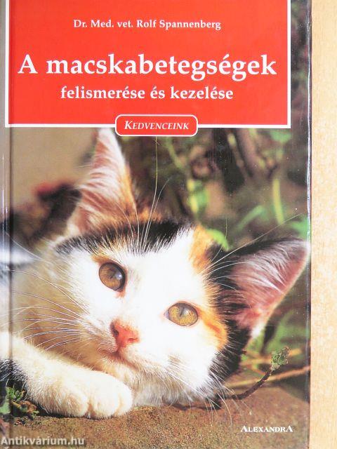 A macskabetegségek felismerése és kezelése