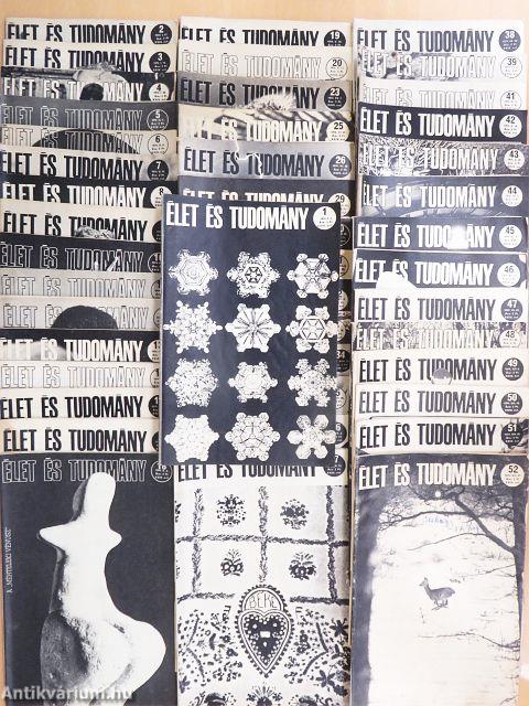 Élet és Tudomány 1974. (nem teljes évfolyam)