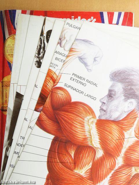 Joe Weider's Bodybuilding System