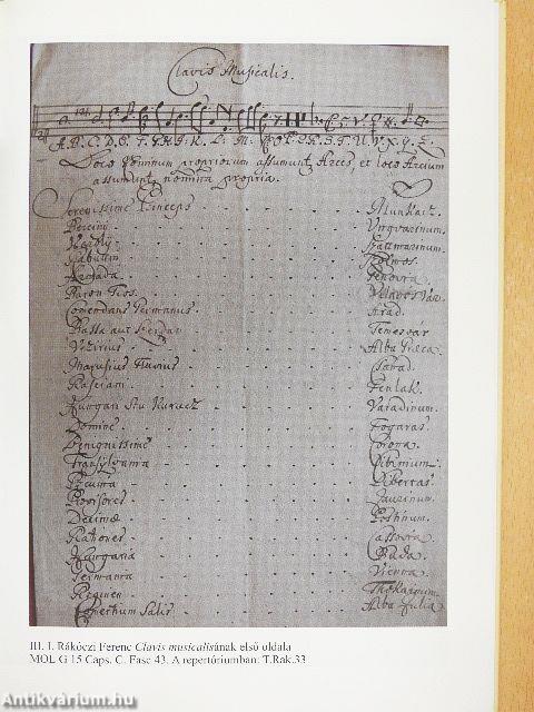 Titkosírás a kora újkori Magyarországon