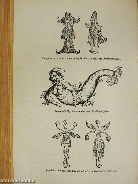 A mágia és a titkos tudományok története