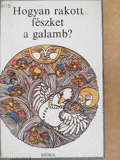 Hogyan rakott fészket a galamb?