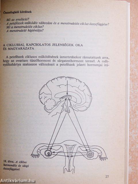 Szülészet-nőgyógyászat