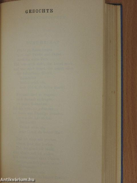 Götzendämmerung/Der Antichrist/Gedichte