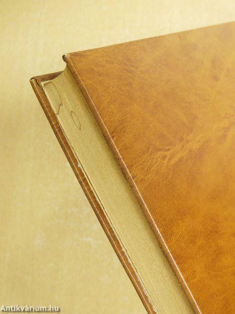 Bevezetés a filozófiába