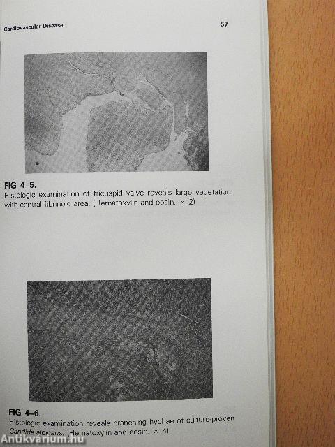 Illustrated Handbook of Drug Abuse