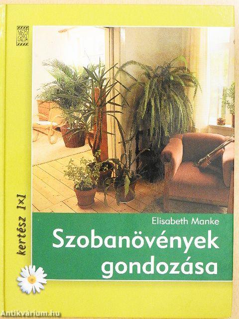 Szobanövények gondozása