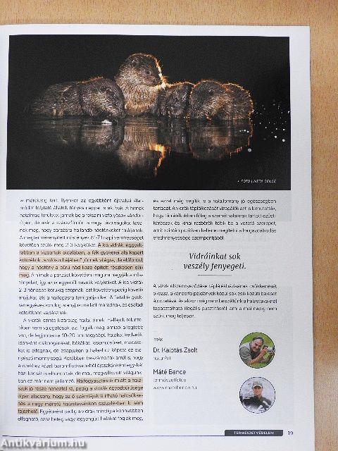 Varázslatos Magyarország 2021. november