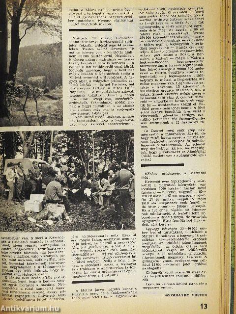 Turista Magazin 1973-1976. (vegyes számok) (13 db)