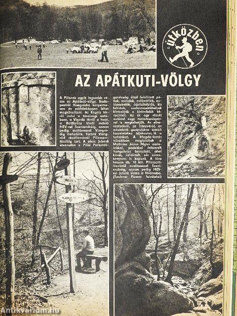 Turista Magazin 1973-1976. (vegyes számok) (13 db)