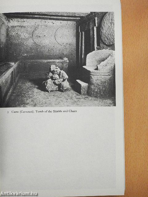 Houses, Villas, and Palaces in the Roman World