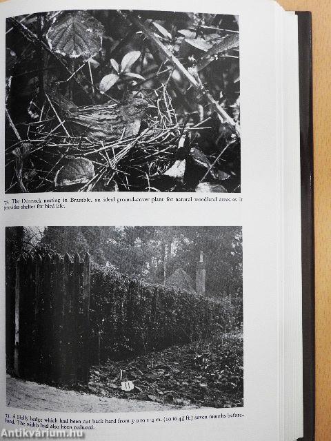 The Pruning of Trees, Shrubs and Conifers