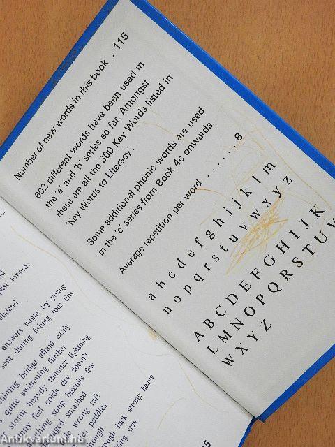 Adventure on the island