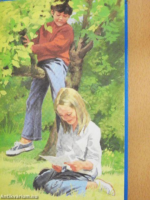 Adventure on the island