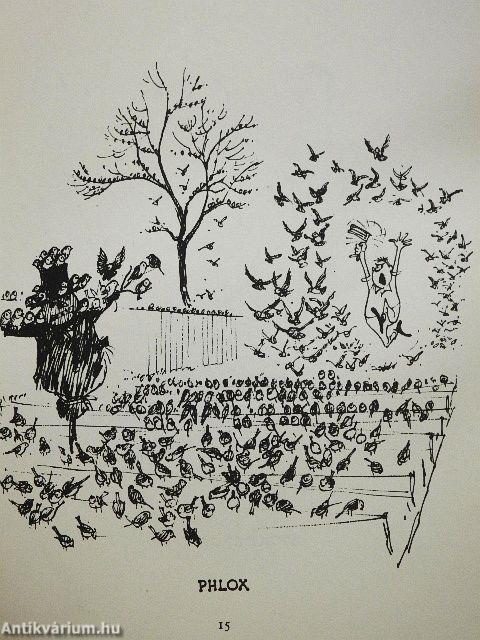 Up the Garden Path