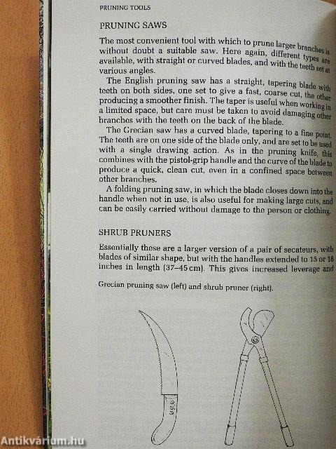 Pruning Ornamental Shrubs