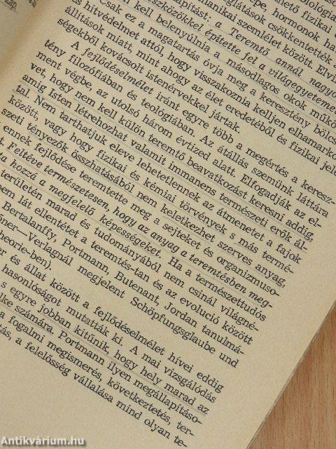 Idő az örökkévalóságban