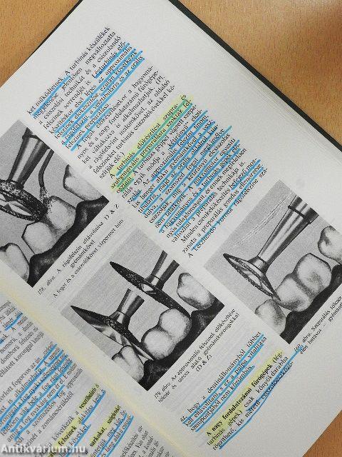 Bevezetés a fogpótlástanba