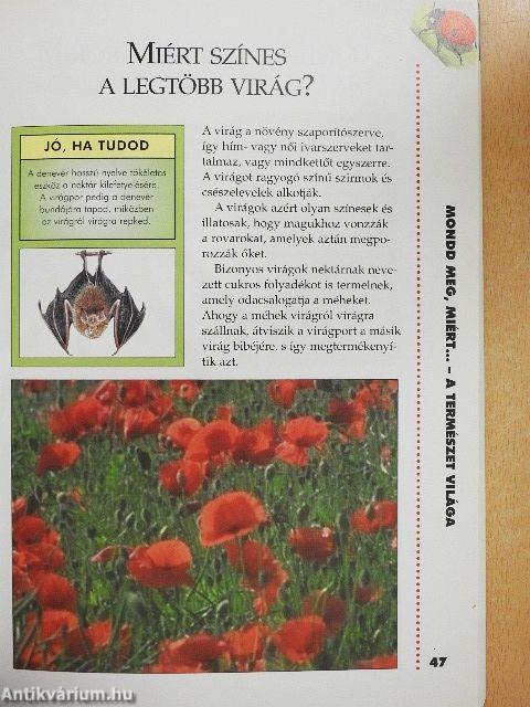 Mondd meg, miért...?