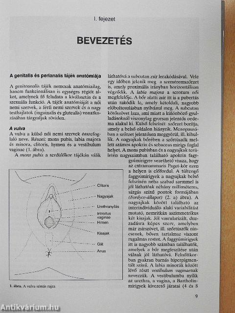 A genitoanalis tájék bőrbetegségei