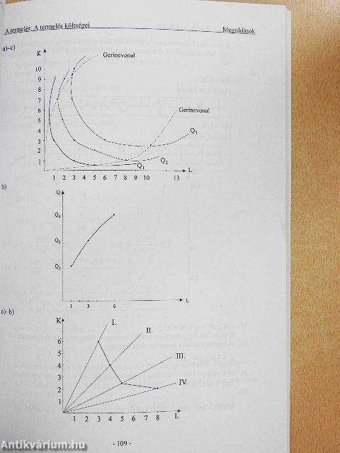 Mikroökonómia feladatgyűjtemény
