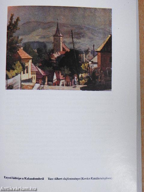 Nagyenyed szóban-képben