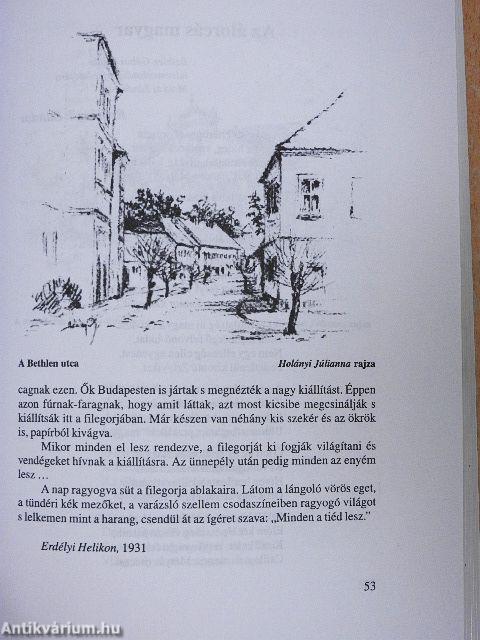 Nagyenyed szóban-képben