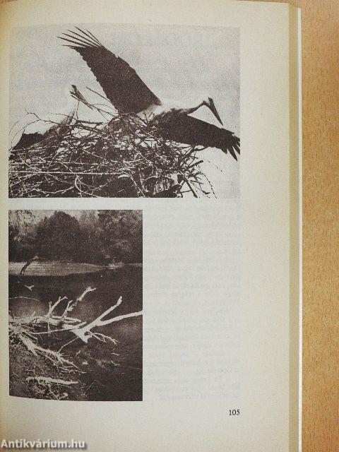 Kisalföldi kalendárium 1987