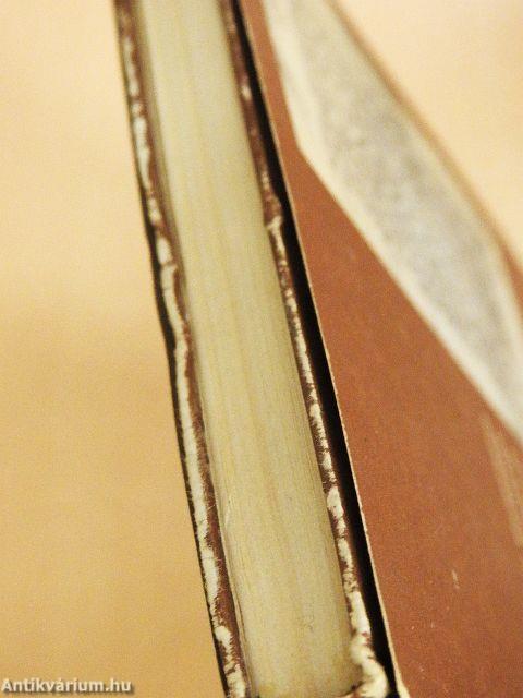 Bujdosó nyelvemlékeink