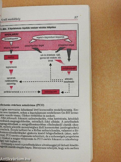 A fogamzóképesség zavarai