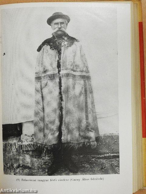 Szlavóniai (kórógyi) szótár I-III.