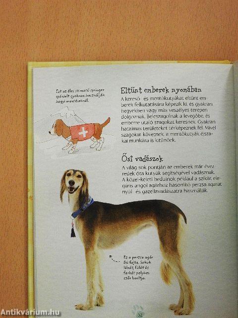 Kutyák kis könyve