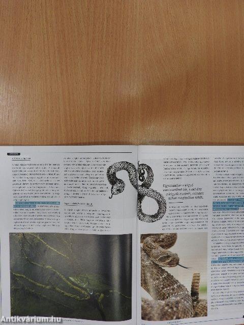 Varázslatos Magyarország 2021. november