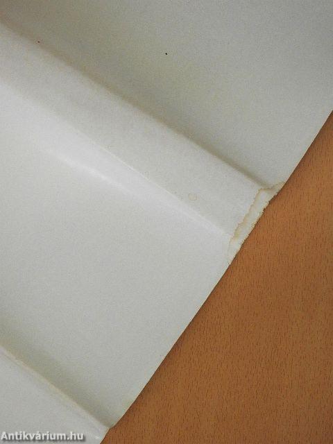 Zwischen Klinik und Hörsaal