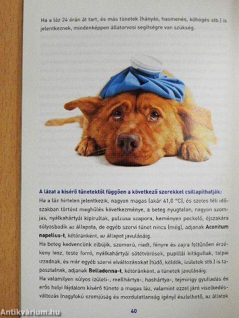 "Kutyabaj és macskajaj" homeopátiás kezelése