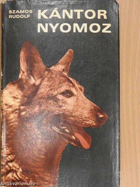 Kántor nyomoz